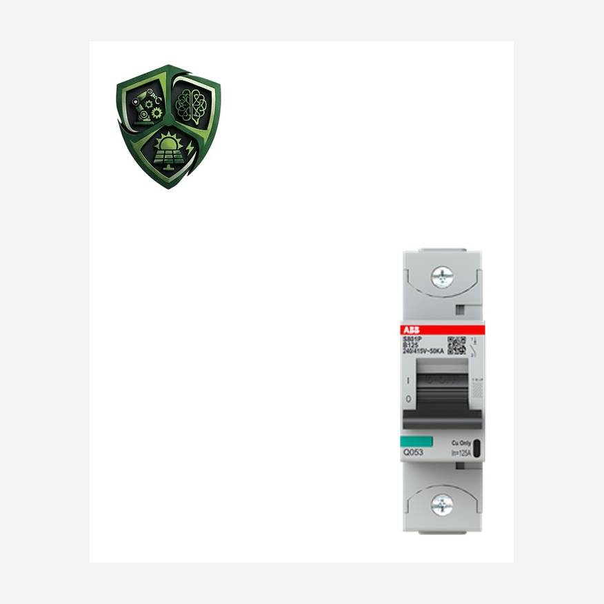 کلید مینیاتوری ABB S801P-B125/2CCG001216R0001