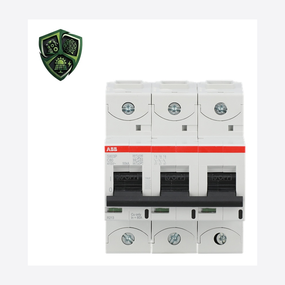 کلید مینیاتوری ABB S803P-C80/2CCG001232R0001